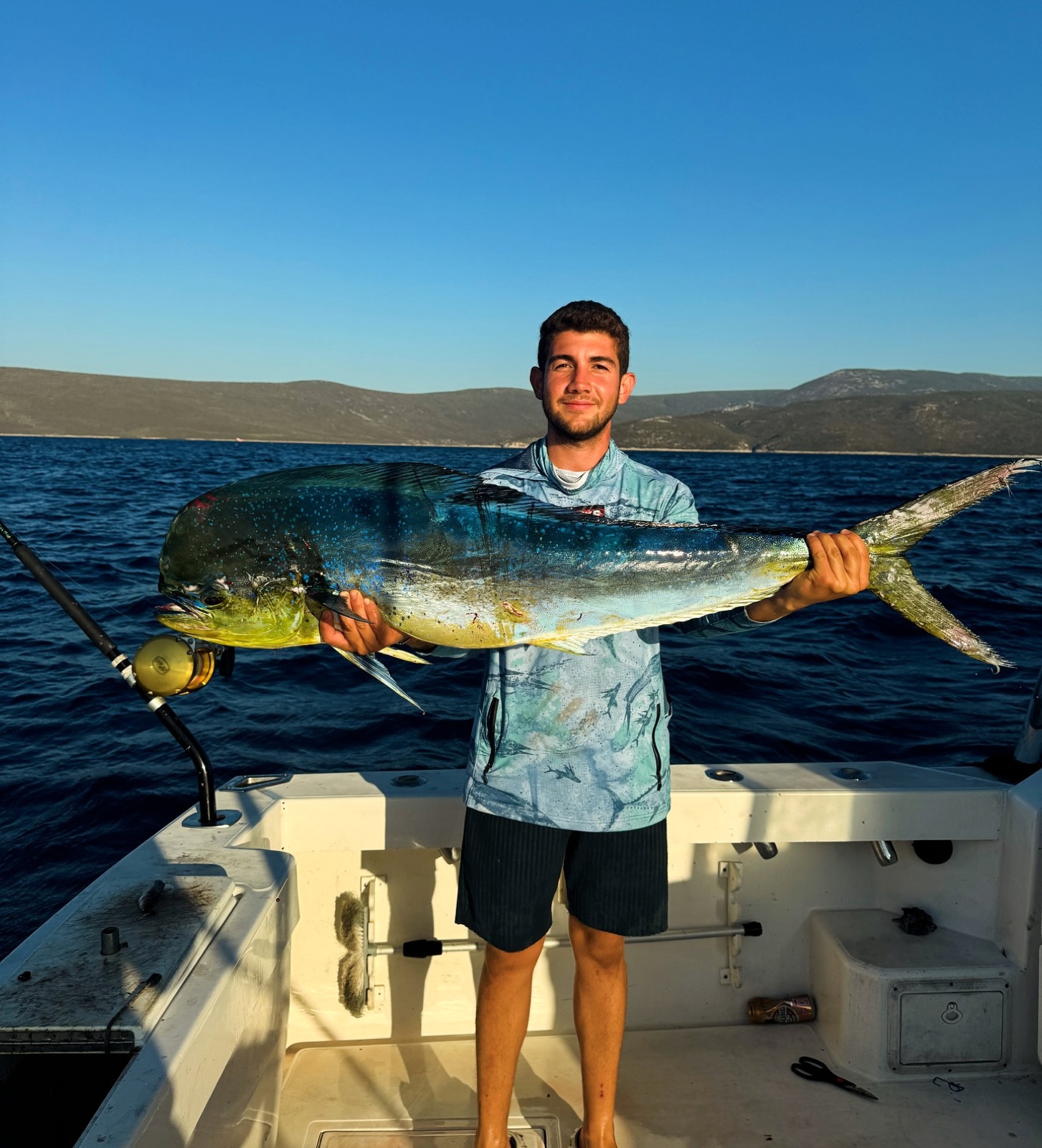 Mahi-Mahi